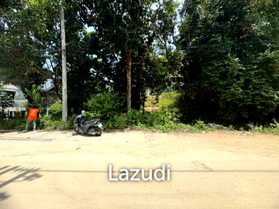 ที่ดิน สุราษฎร์ธานี : 320.0 ตร.ม.ที่ดินสำหรับ ขายใน เกาะพะงัน