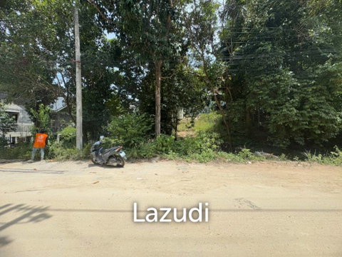 Land for Sale 320 Sqm in Ko Phangan