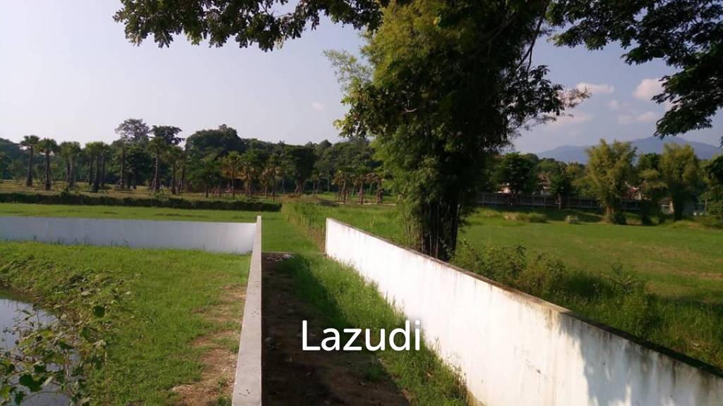 รูป UNIQUE OPPORTUNITY, PRIME LAND FOR SALE IN MAE RIM - รูปที่ 8/9