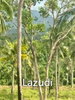 listing thumbnail image 15