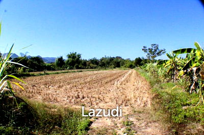 ที่ดิน เชียงราย : Land for Sale in Doi Hang