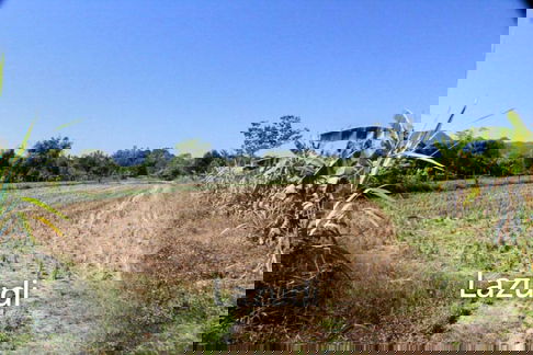 Land for Sale in Doi Hang