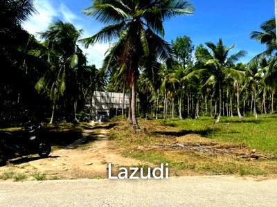 ที่ดิน สุราษฎร์ธานี : Prime Land for Sale in Beautiful Wok Tum, Koh Phangan!