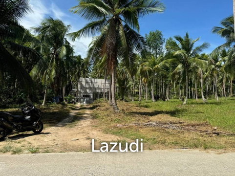 Prime Land for Sale in Beautiful Wok Tum, Koh Phangan!