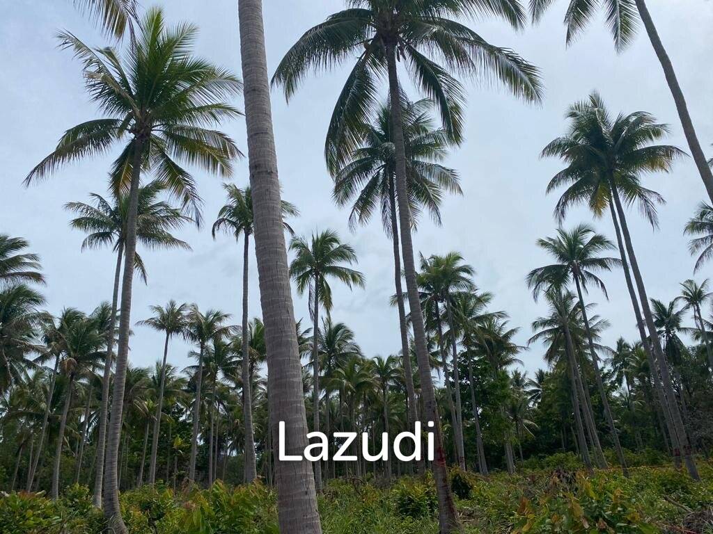 รูป 1,408.0 ตร.ม.ที่ดินสำหรับ ขายใน บ้านใต้ - รูปที่ 5/10