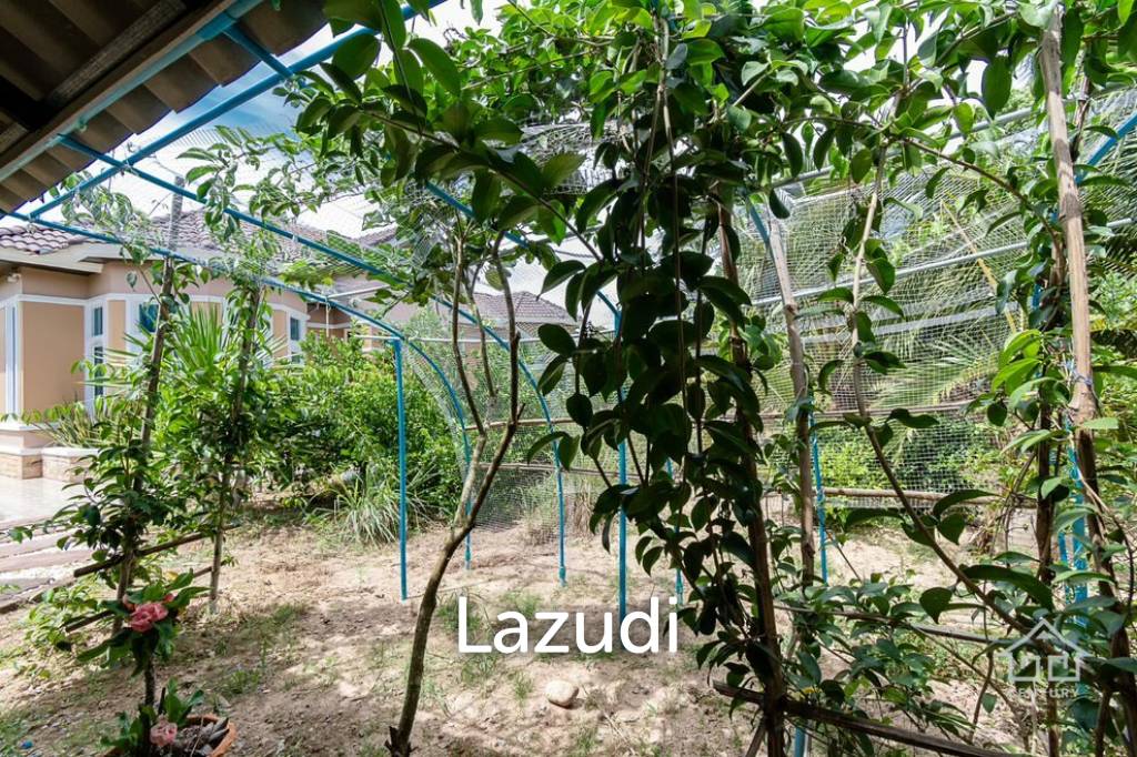 picture 3  Rai land 3 Bedrooms with guest house - 62/66