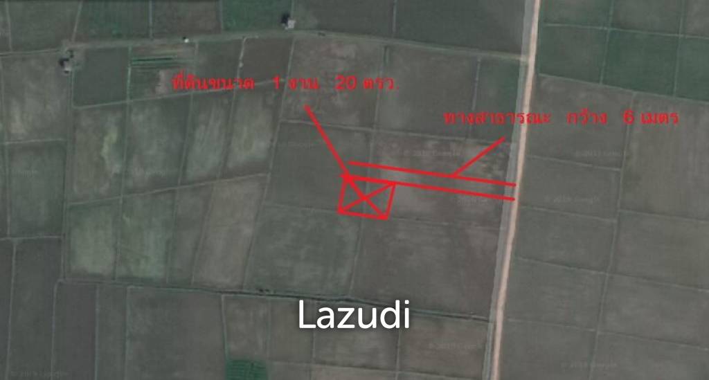 รูป Land for Sale in Chiang Rai - รูปที่ 2/3