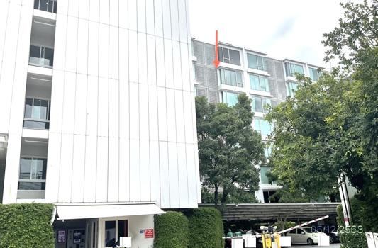 รูป คอนโดมิเนียม 1 ห้องนอน, 26.39 ตารางเมตร คอนโดมิเนียม สำหรับขาย คอนโด ยู เกษตร-นวมินทร์ อนุสาวรีย์ เขตบางเขน กรุงเทพมหานคร - รูปที่ 13/16