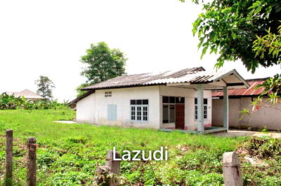 ที่ดิน เชียงราย : Doi Saken Land