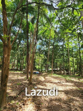 Land for Sale – Central Koh Phangan (Maduwan / Ban Nai Suan)