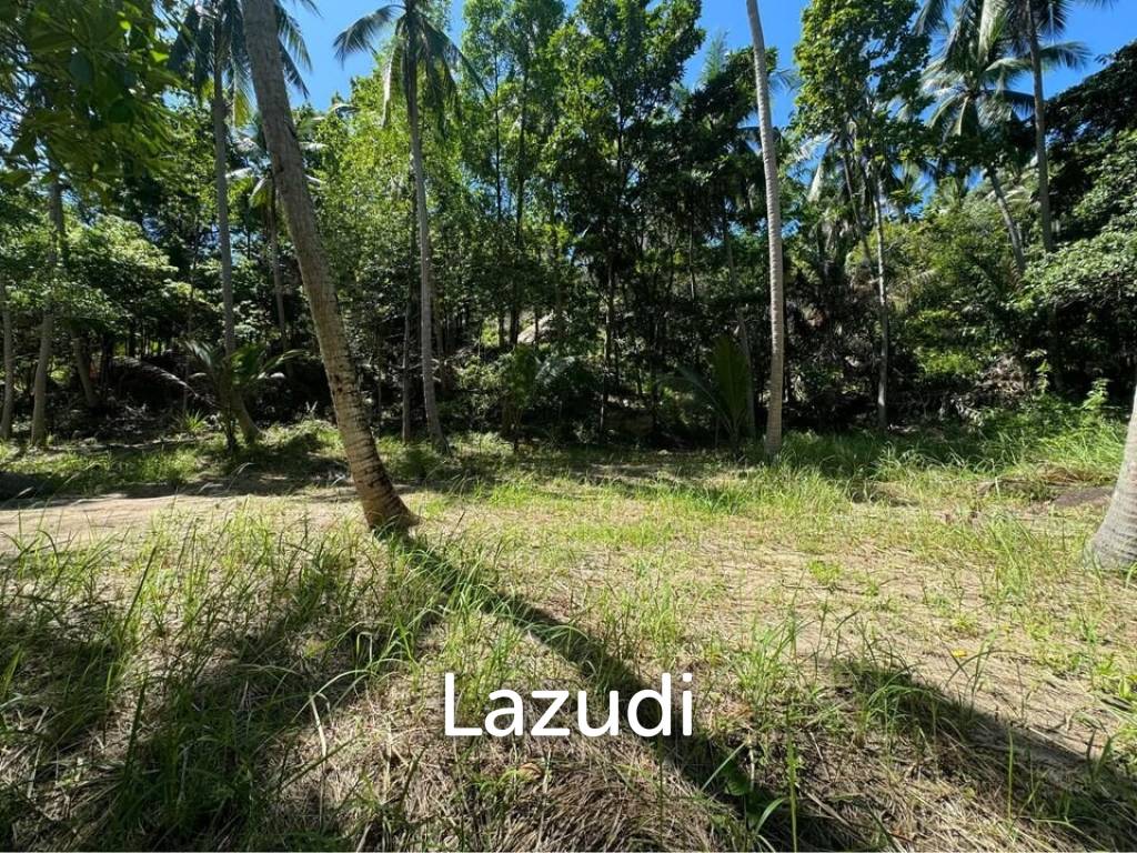 รูป 1,600.0 ตร.ม.ที่ดินสำหรับ ขายใน เกาะพะงัน - รูปที่ 3/5