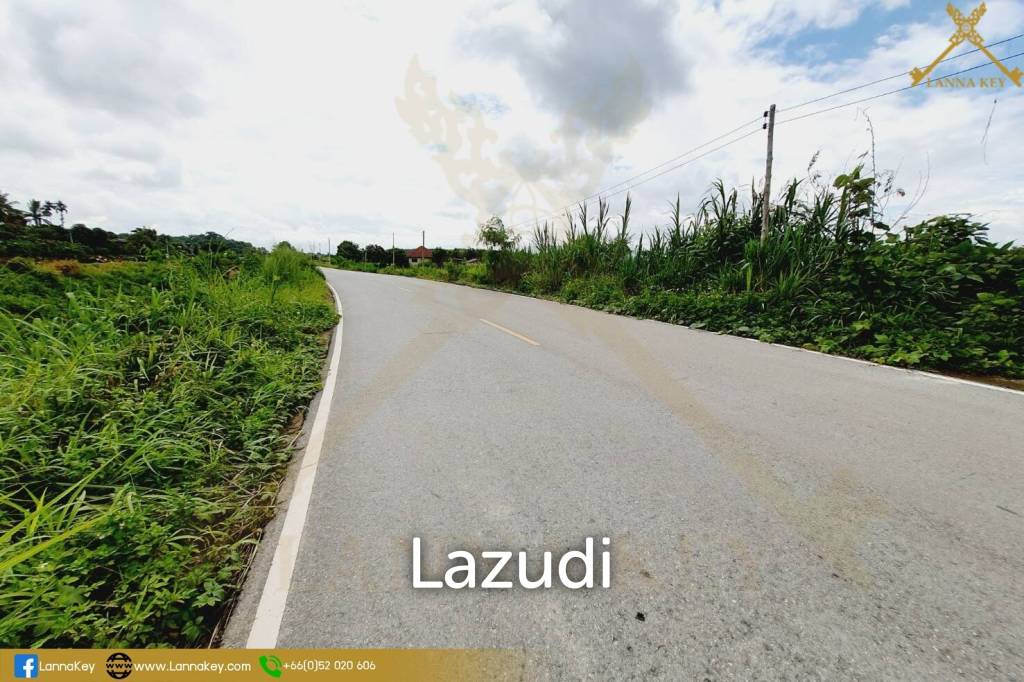 picture Land with Beautiful Rice Fields and Nice View for Sale - 14/19