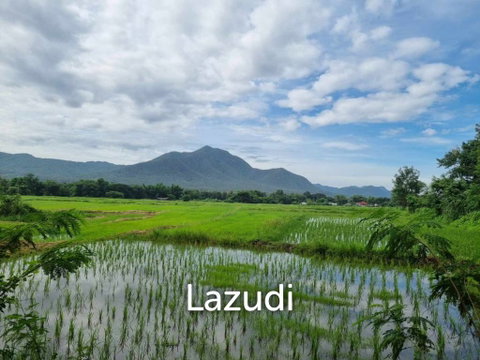 ขายที่ดิน 47 ไร่ท่ามกลางวิวภูเขาในอ.แม่ออน มีโฉนดทั้งหมด!