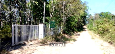 ที่ดิน แม่แตง เชียงใหม่ : ที่ดิน 20 ไร่พร้อมต้นสักและต้นไม้หลายพันธุ์ที่อ.แม่แตง