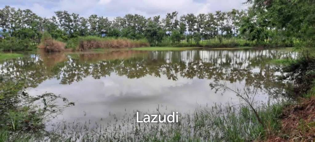 รูป ขายที่ดิน 14 ไร่ ในบรรยากาศกลางทุ่งนาและวิวภูเขา ใน อ.พาน - รูปที่ 5/15