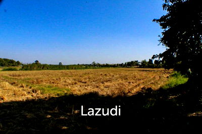 ที่ดิน เชียงราย : Land for Sale in Chiang Rai