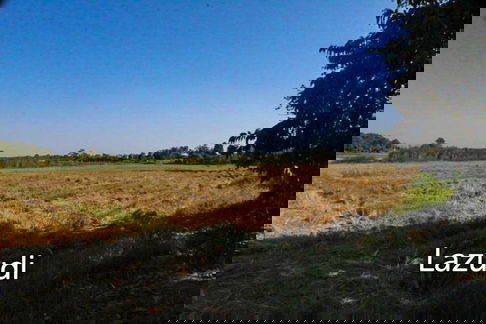 Land for Sale in Chiang Rai