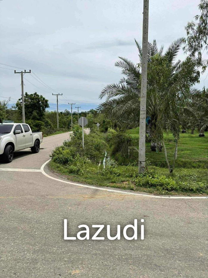 picture 30 Rai Date Palm Garden for Sale - 17/18