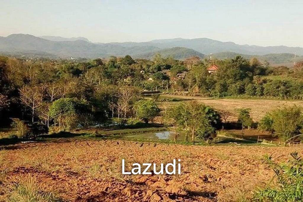 รูป 13 Rai Near to Wat Huay Plakang for Sale - รูปที่ 6/8