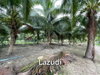 listing thumbnail image 2
