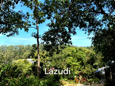 ที่ดิน สุราษฎร์ธานี : 420.0 ตร.ม.ที่ดินสำหรับ ขายใน เกาะพะงัน