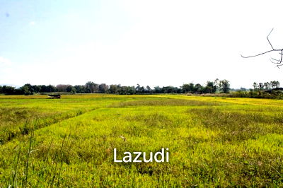 ที่ดิน เชียงราย : Large Land for Sale