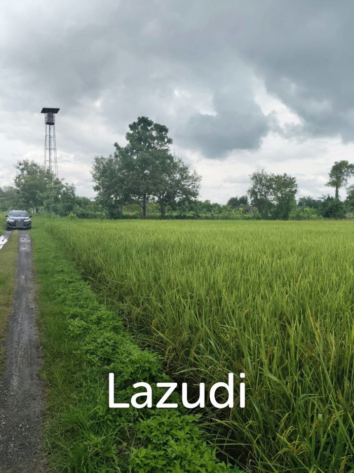 รูป ขายที่ดิน 1 ไร่ 3 งานวิวทุ่งนาและภูเขา ที่ อ.สันกำแพง - รูปที่ 4/9