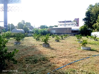 ที่ดิน ถนนลาดพร้าว : ขายด่วน ที่ดิน 696 ตารางวา @ ซอย รามคำแหง 12