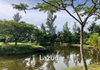 listing thumbnail image 18