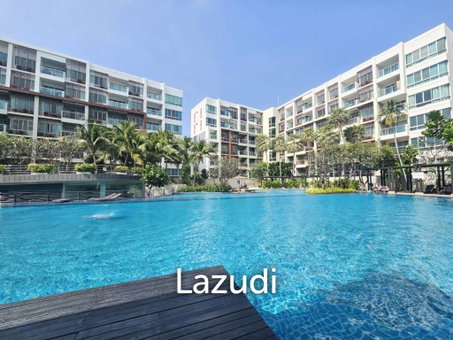THE SEACRAZE : 2 Bed condo near the beach with Pool View