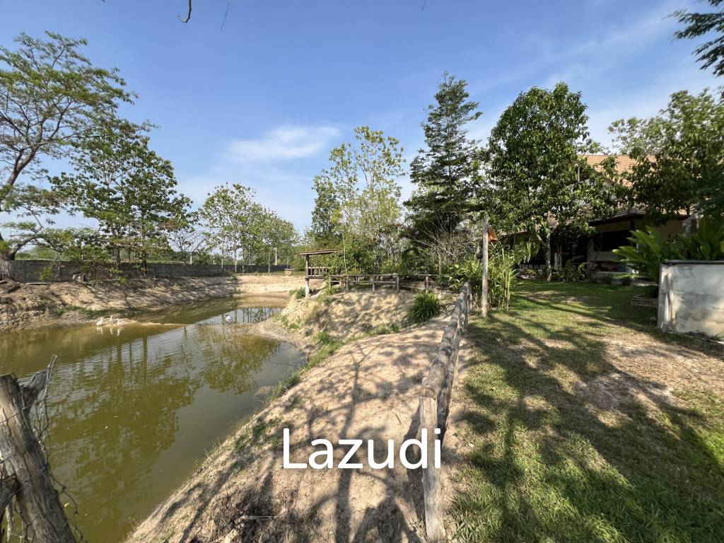 รูป ขายบ้าน 2 ห้องนอนในสวนไม้สักในพื้นที่กว่า 7 ไร่ - รูปที่ 44/74