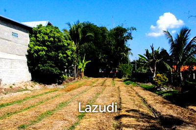 ที่ดิน เชียงราย : Land for Sale in Wiang Chai