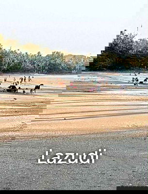ที่ดิน หลังสวน ชุมพร : Chumphon Province: Rare Beachfront Land for Sale