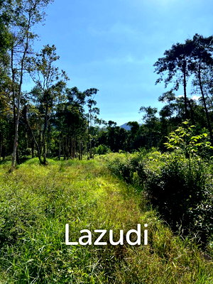 Land for sale Ko Phangan Surat Thani : Subdivided Freehold Plots, Each Spanning 748 sqm in Baan Suai Maduwan