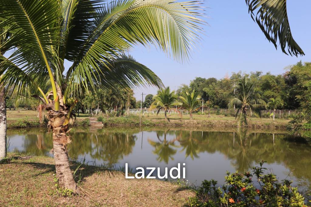 รูป ขายที่ดิน 18 ไร่ พร้อมไม้ผลออร์แกนิก - รูปที่ 16/22