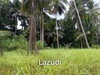 listing thumbnail image 10