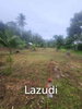 listing thumbnail image 5