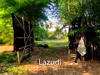 Land for sale Mae Rim Chiang Mai : Fertile river bank in Baan Huai Sai