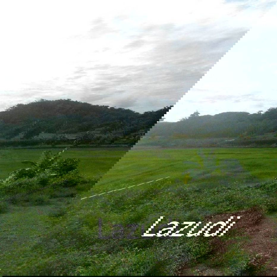 รูป ขายที่ดิน 47 ไร่บนเนิน วิวภูเขาสวย ราายล้อมด้วยธรรมชาติ - รูปที่ 9/16