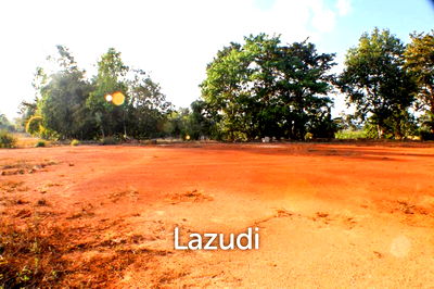 ที่ดิน เชียงราย : Land for Sale Reclamation