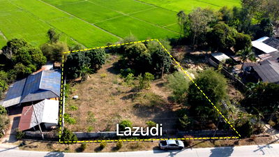 ที่ดิน เชียงราย : ขายที่ดินเปล่า 1 ไร่วิวนาข้าวและภูเขาในอ.เวียงชัย