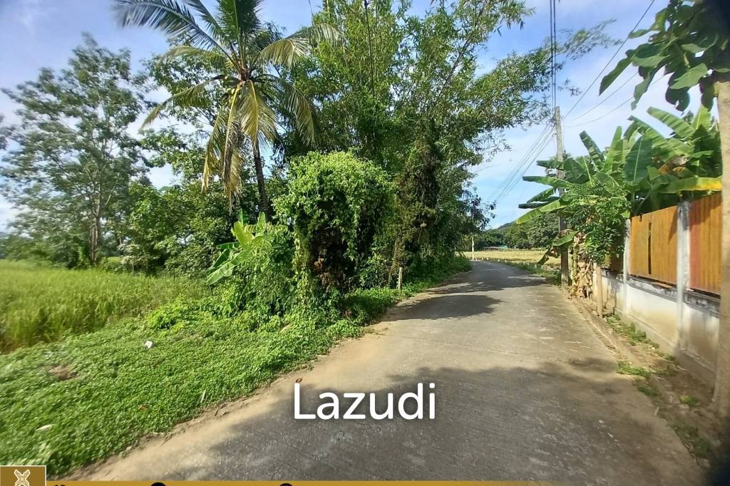 รูป Rice Fields Land 5 rai for Sale - รูปที่ 7/10