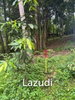 listing thumbnail image 15