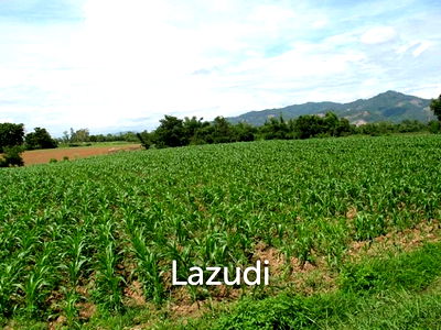 ที่ดิน เชียงราย : ขายที่ดินสวย 6 ไร่ 3 งานวิวภูเขา ที่อ.เชียงของ