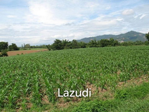 ขายที่ดินสวย 6 ไร่ 3 งานวิวภูเขา ที่อ.เชียงของ