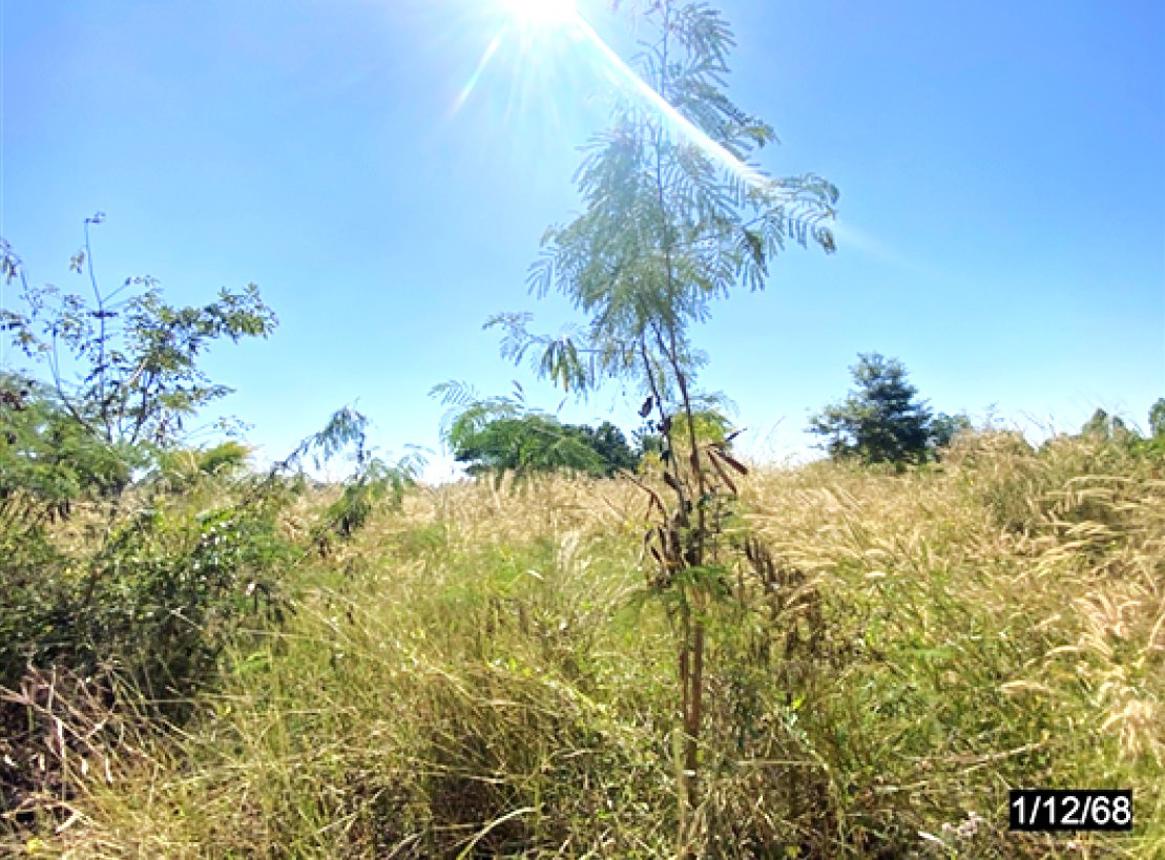 รูป ที่ดินว่างเปล่า 2838 ตร.วา น้ำพอง ขอนแก่น 2.8M - รูปที่ 14/18