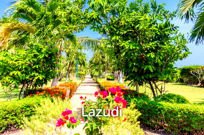 ที่ดิน ชะอำ เพชรบุรี : 800.0 ตร.ม.ที่ดินสำหรับ ขายใน ชะอำ