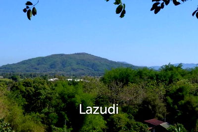 ที่ดิน เชียงราย : ขายที่ดิน 11 ไร่ วิวภูเขาสวย ที่ อ.เชียงแสน