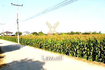ที่ดิน เชียงราย : Good location Land for Sale