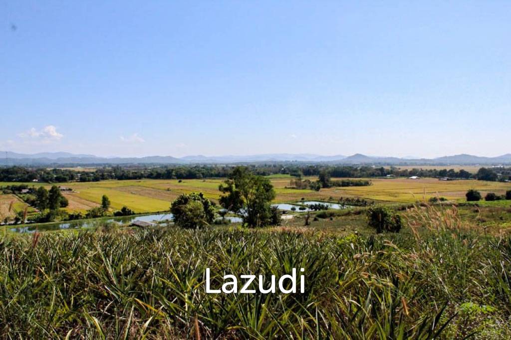 รูป Land for Sale in Chiang Saen - รูปที่ 1/11